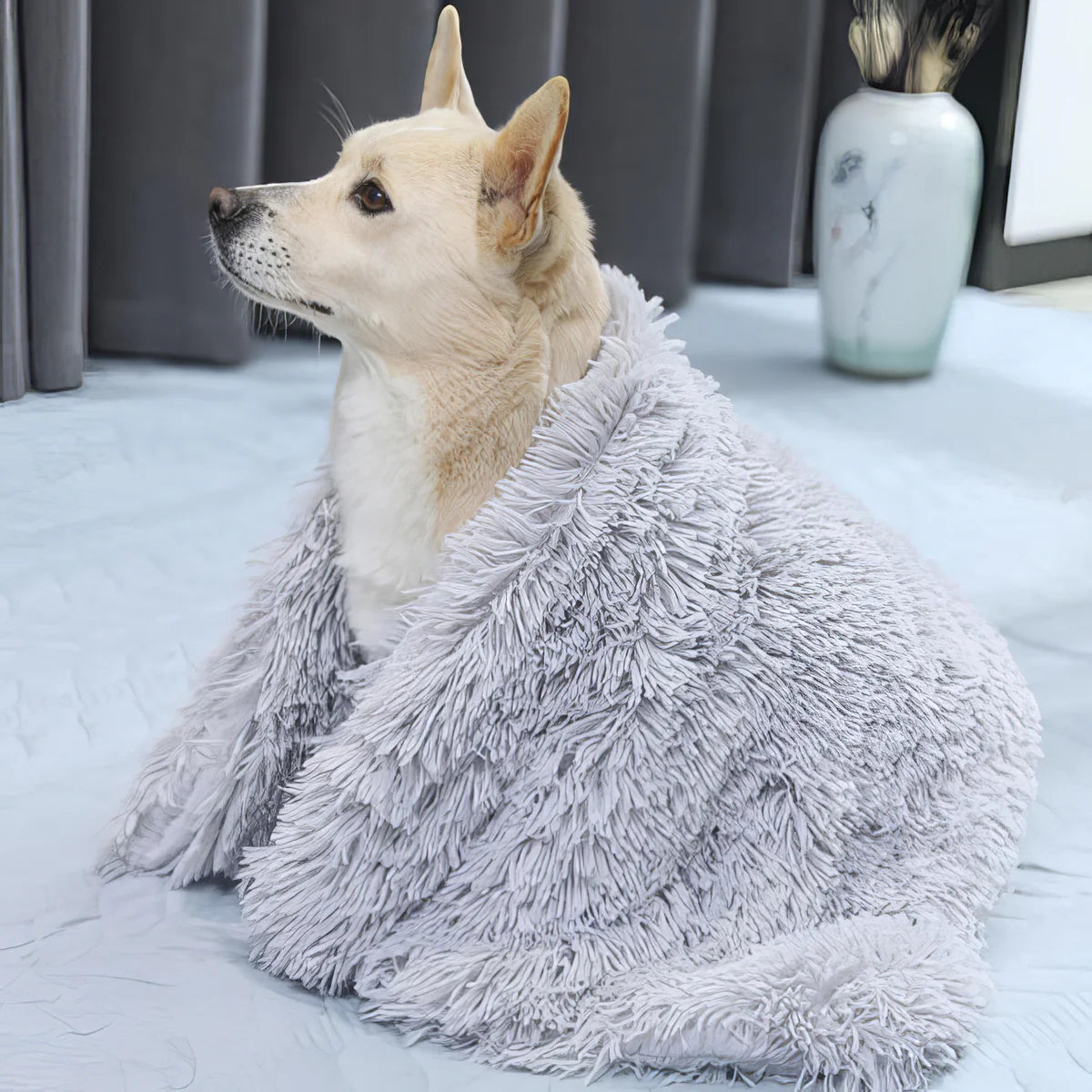 A dog is sitting on a gray fluffy pet blanket, which is draped over the dog.