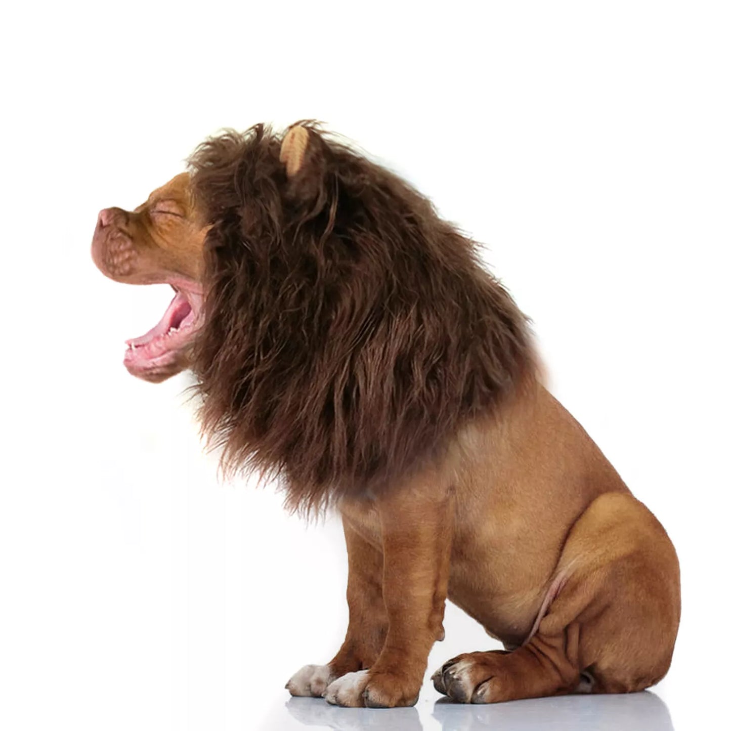 Dog Lions Mane Halloween Costume