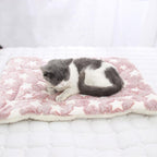 a cat siting on soft fleece pet blanket.