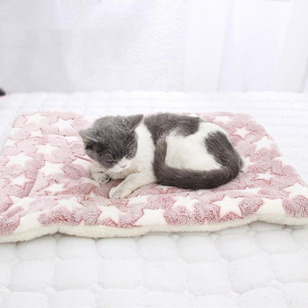 a cat siting on soft fleece pet blanket.