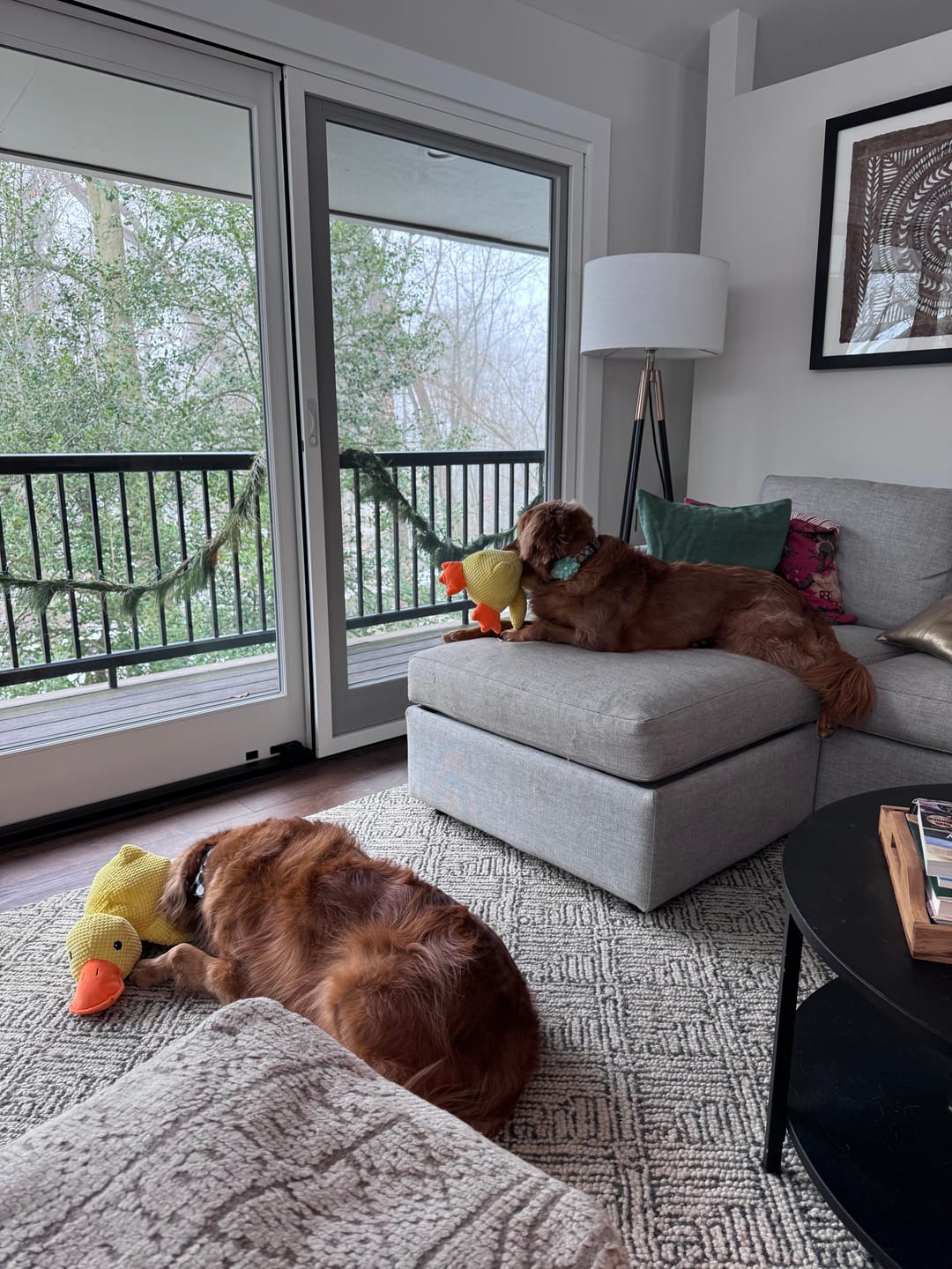 Calming Durable Duck Dog Toy, Heavy Chewing & Bite Resistant Toy For