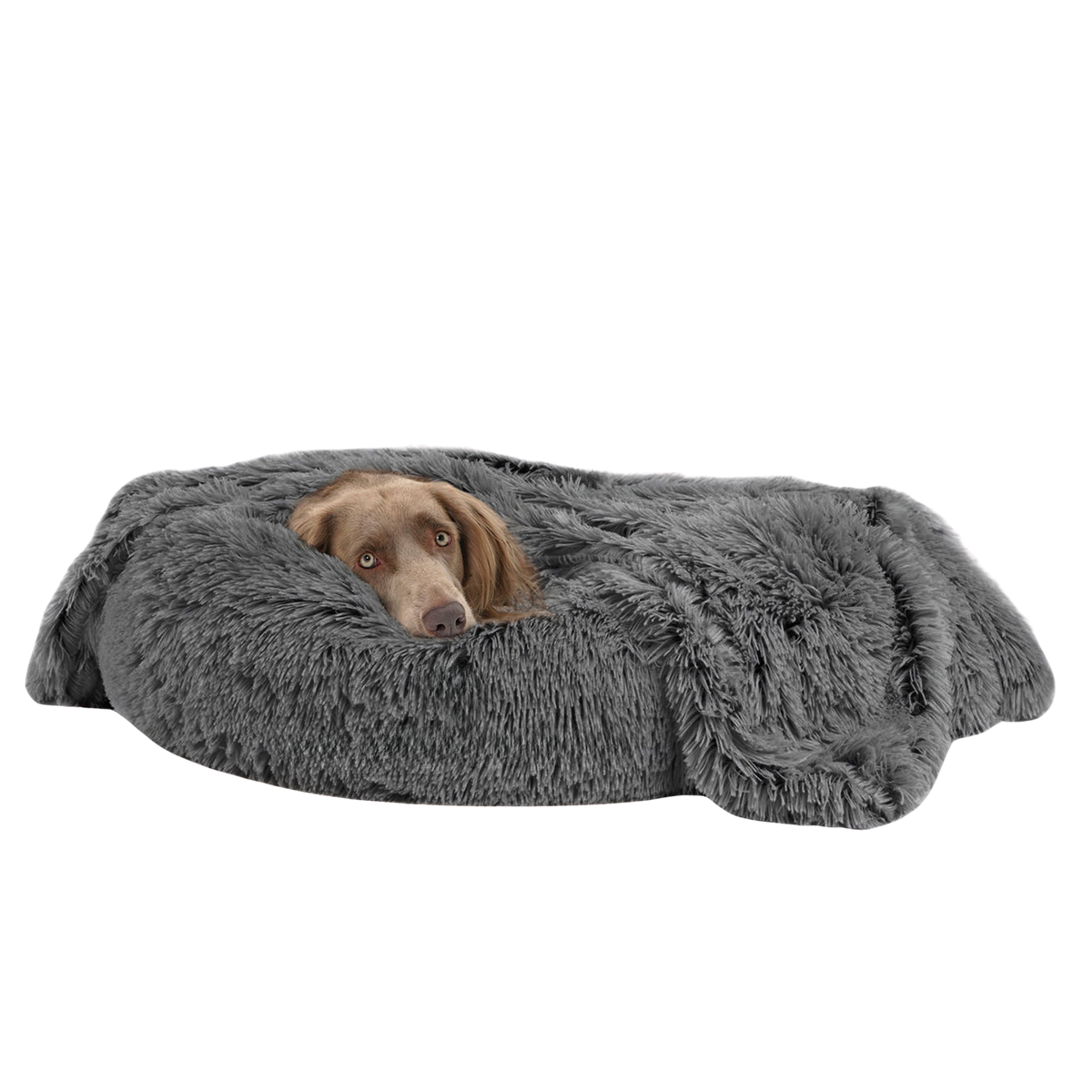 Dog lying on a fluffy gray pet bed against a white background