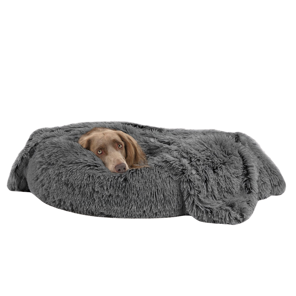 Calming Throw for Dogs
