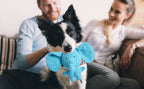 Dog holding a blue elephant toy with a man and woman in the background