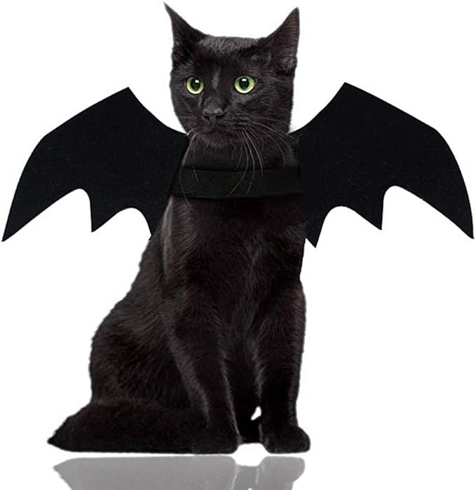 Bat Wings Cat Halloween Costume
