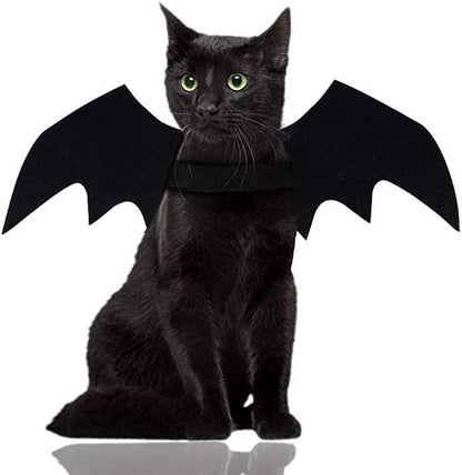 Bat Wings Cat Halloween Costume