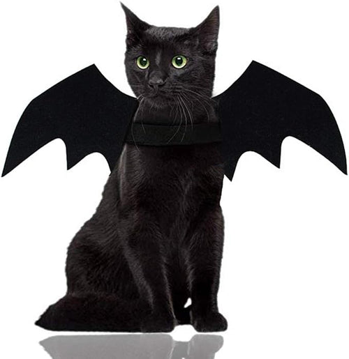 Bat Wings Cat Halloween Costume