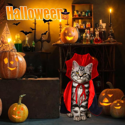 Vampire Cat Halloween Costume