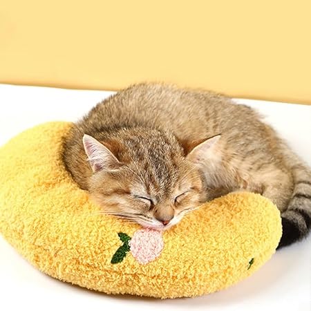 Calming Pillow
