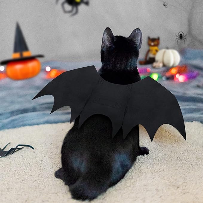 Bat Wings Cat Halloween Costume