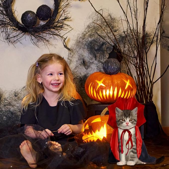 Vampire Cat Halloween Costume