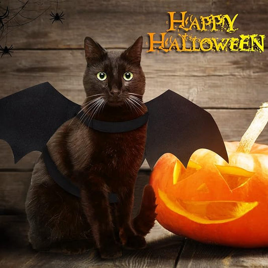 Bat Wings Cat Halloween Costume