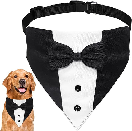Dog Tuxedo