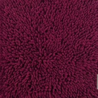 Messy Paws Mat with PawSorb Technology