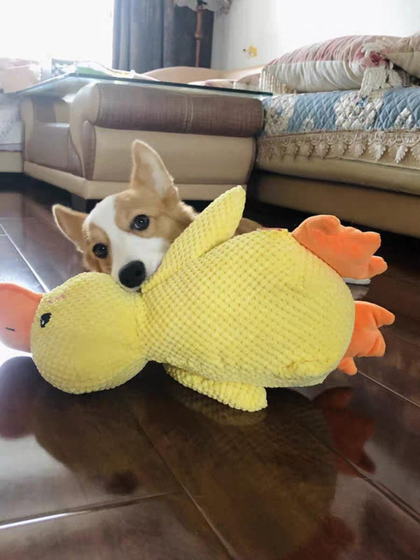Customer photo of a dog with the Calming Duck