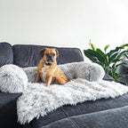 Calming Dog Furniture Cover