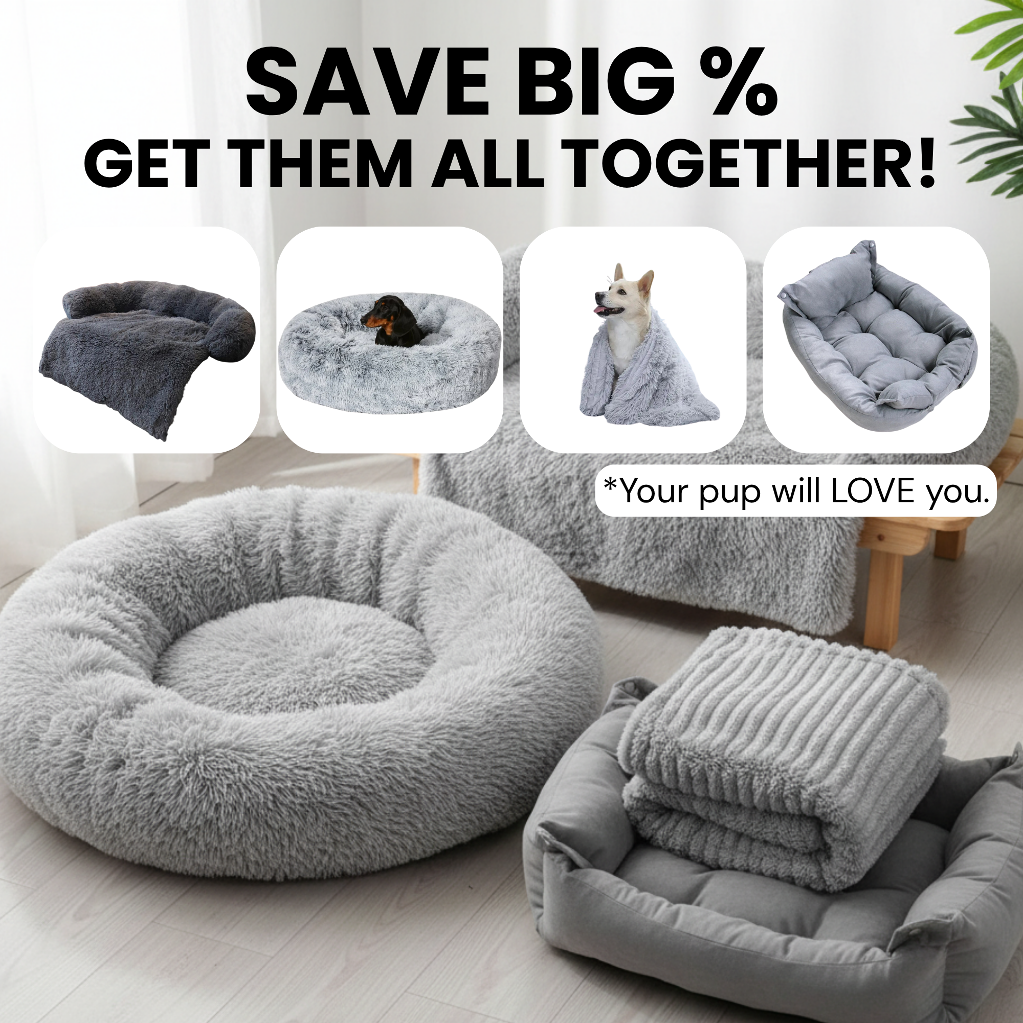 The Bed & Blanket Bundle