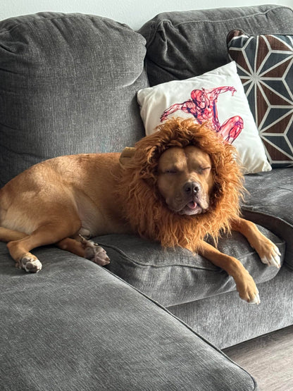 Dog Lions Mane Halloween Costume