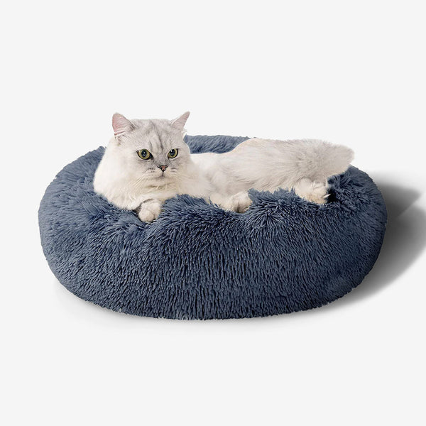 Calming bed cat best sale