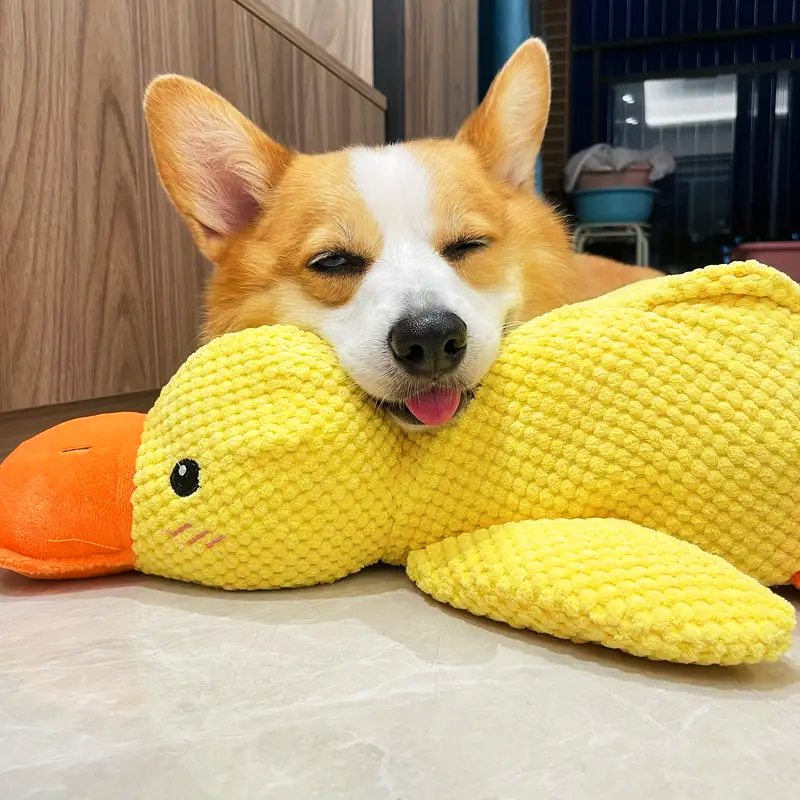 Dog with a yellow plush toy resembling a duck on a wooden floor.