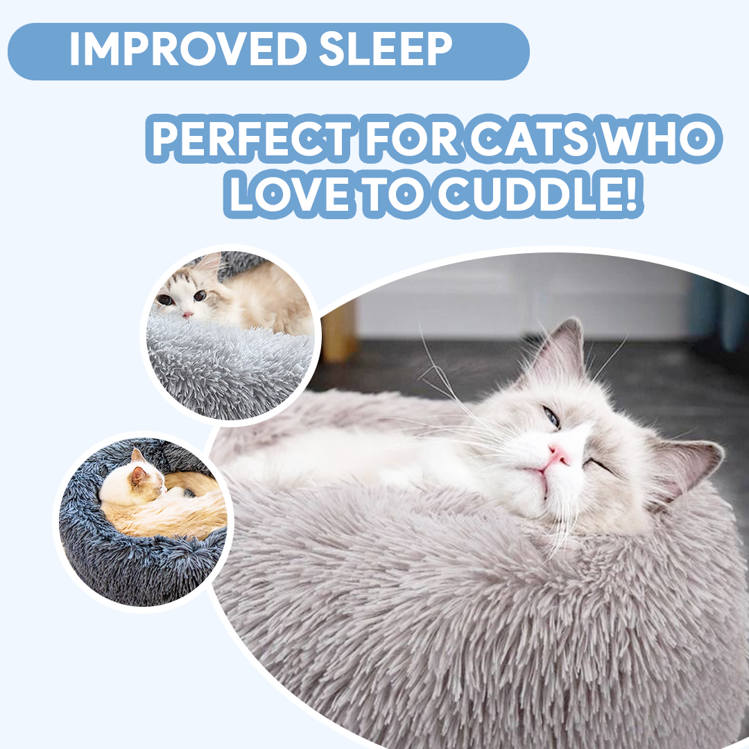 Calming Cat Bed