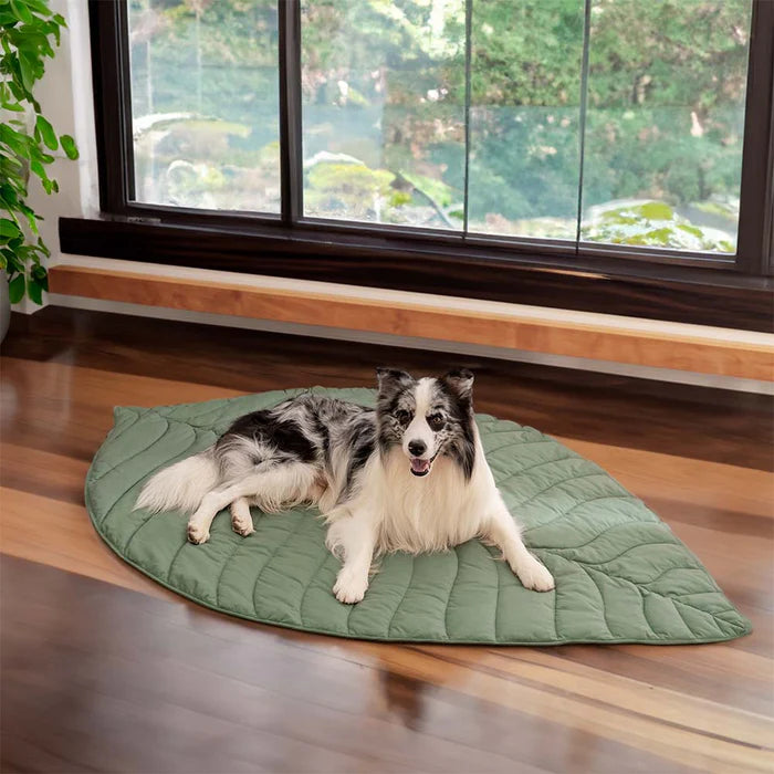 A dog sitting on leaf shape blanket