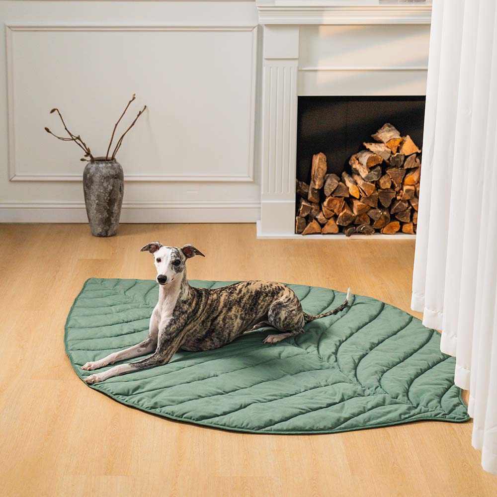 A dog sitting on gray  leaf shape blanket