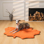 A dog sitting on orange leaf shape blanket