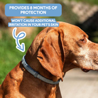 Dog AntiTickCollar - Flea & Tick Repellent