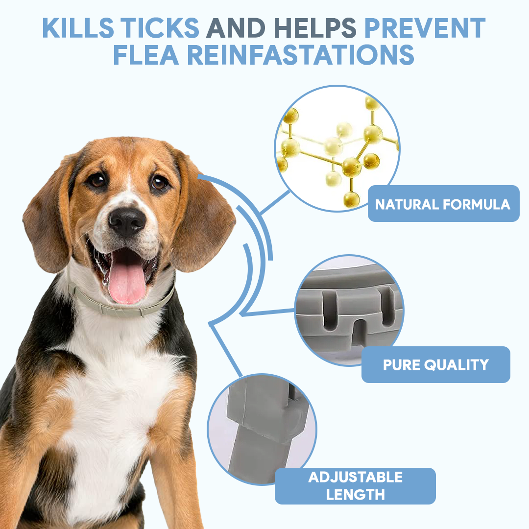 Dog AntiTickCollar - Flea & Tick Repellent