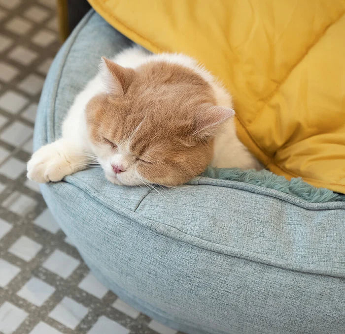 A cat sleeping under yellow leaf-shaped blanket.