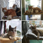 Premium Cat Hammock