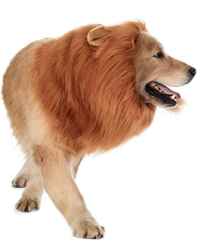 Dog Lions Mane Halloween Costume