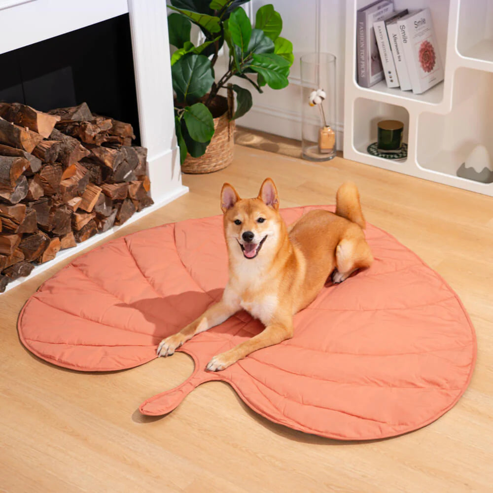 A dog sitting on a peach leaf-shaped dog blanket mat.