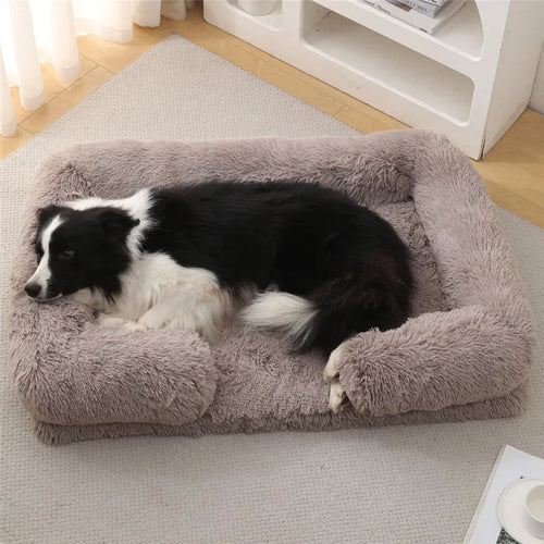 Beds & Blankets