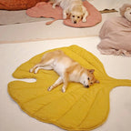 A dog lying on a yellow leaf-shaped dog blanket mat.
