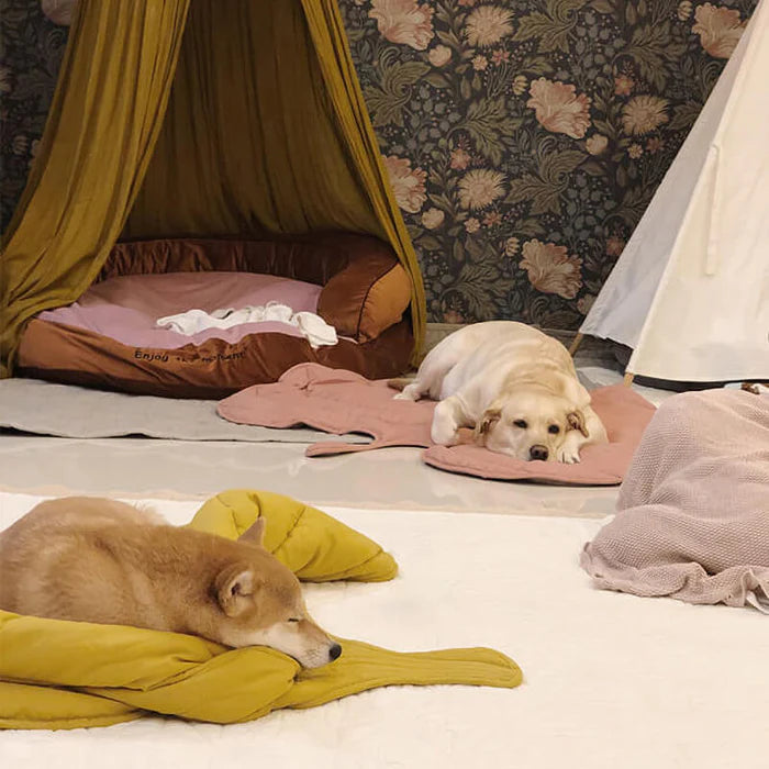 Two dog lying on a green and pink  leaf-shaped dog blanket mat on a wooden floor.
