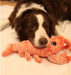 Dog lying on a blanket with a plush crab toy