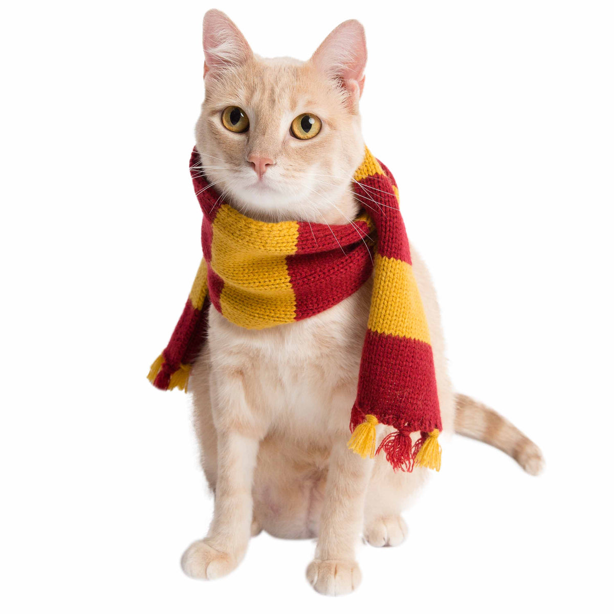 Hipster Wizard Striped Cat Scarf