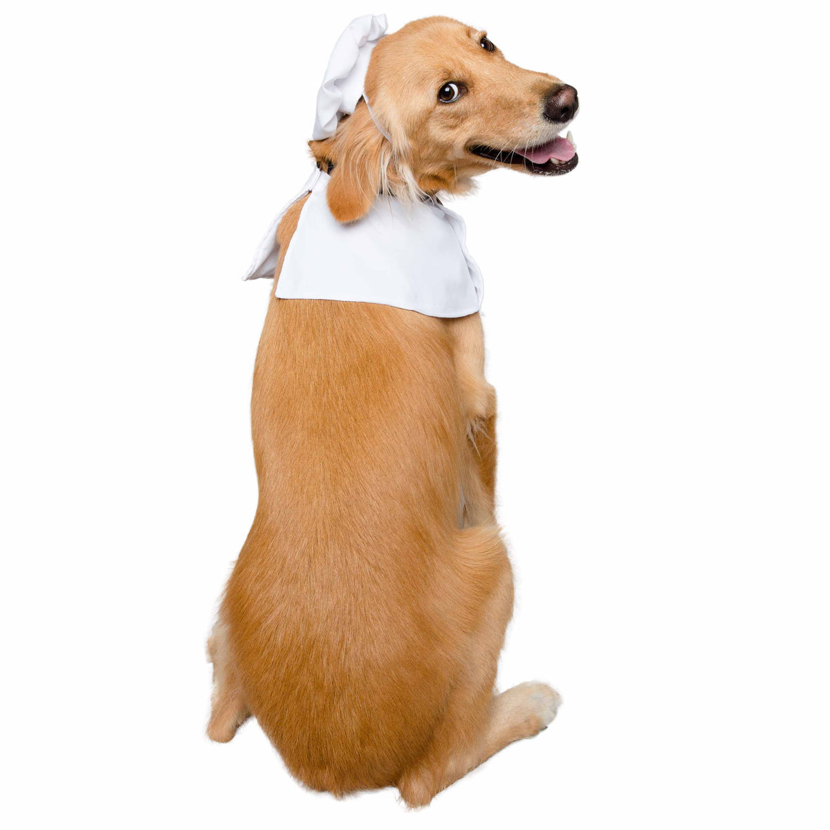 Top Chef Uniform Dog Costume