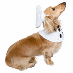 Top Chef Uniform Dog Costume