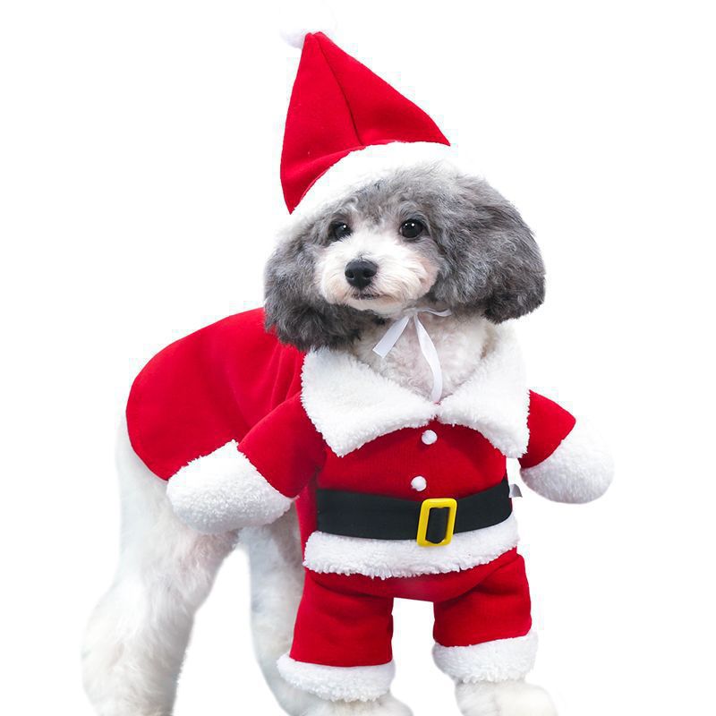Christmas Santa Claus Pet Costume