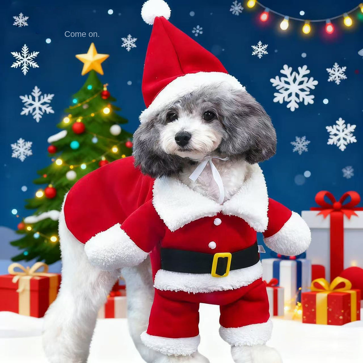 Christmas Santa Claus Pet Costume