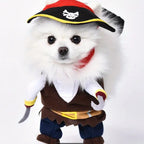 Pirate Dog Costume