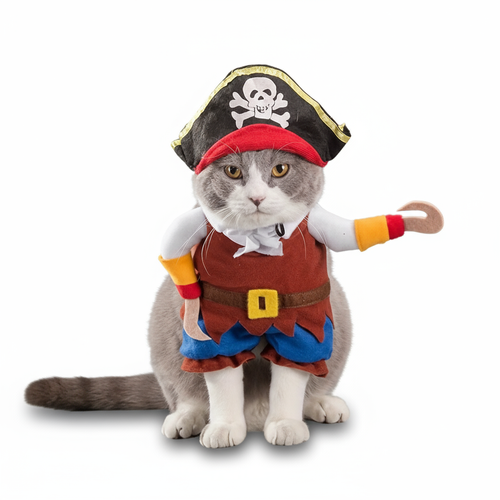 Pirate Cat Costume