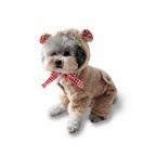 Walking Teddy Bear Dog Costume