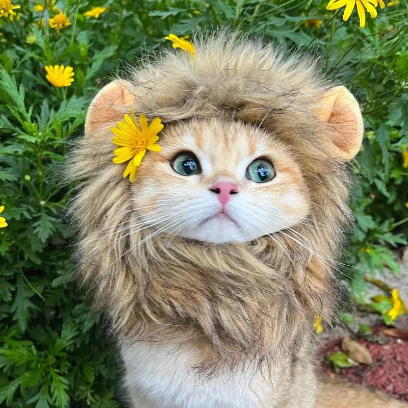 Cat Lions Mane Halloween Costume