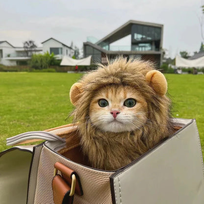 Cat Lions Mane Halloween Costume