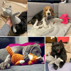 Plush Dog Chew Toys for Small and Large Dogs
