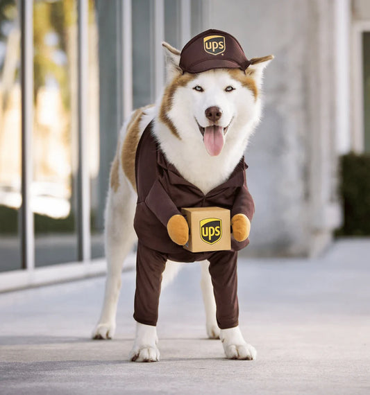 Ups Dog Halloween Costume